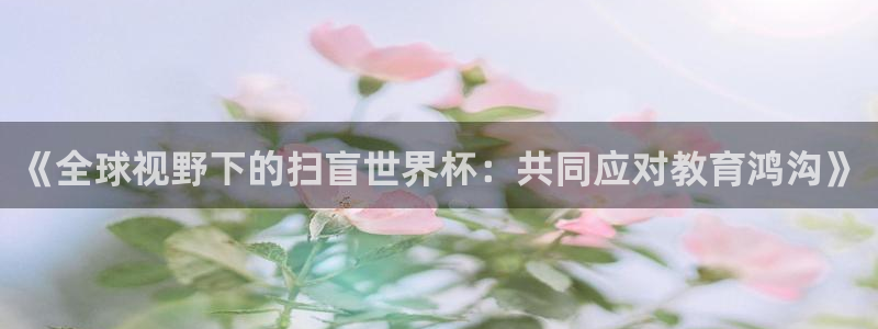 2026世界杯：《全球视野下的扫盲世界杯：共同应对教育鸿沟》