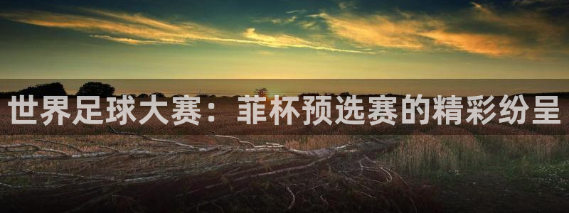 世俱杯直播：世界足球大赛：菲杯预选赛的精彩纷呈