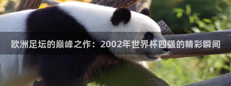 欧联杯直播：欧洲足坛的巅峰之作：2002年世界杯四强的精彩瞬间