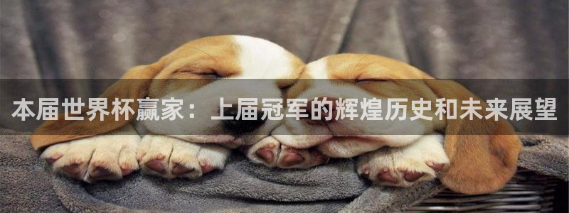 2026世界杯赛：本届世界杯赢家：上届冠军的辉煌历史和未来展望