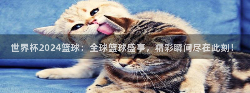 世界杯预选赛欧洲赛区赛程：世界杯2024篮球：全球篮球盛事，精彩瞬间尽在此刻！