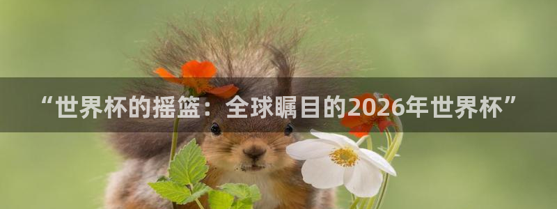 2026世预赛赛程：“世界杯的摇篮：全球瞩目的2026年世界杯”