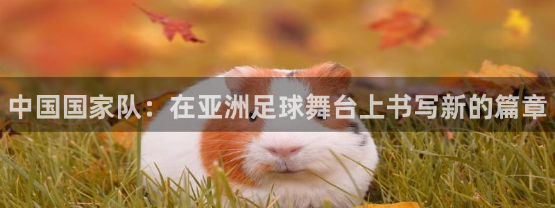 世界杯 中国：中国国家队：在亚洲足球舞台上书写新的篇章