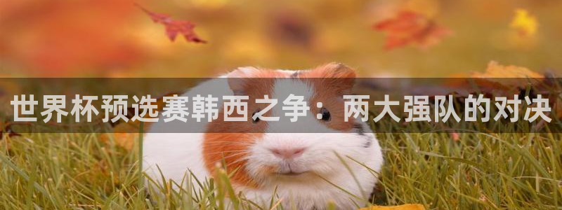 世界杯亚洲区预选赛：世界杯预选赛韩西之争：两大强队的对决