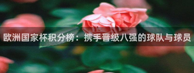 2026年世界杯：欧洲国家杯积分榜：携手晋级八强的球队与球员