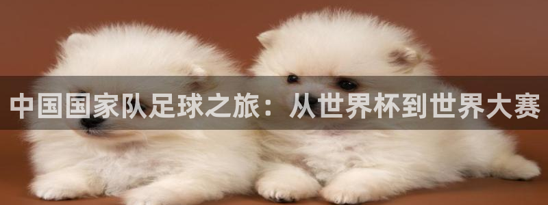 2026世界杯德国队阵容：中国国家队足球之旅：从世界杯到世界大赛
