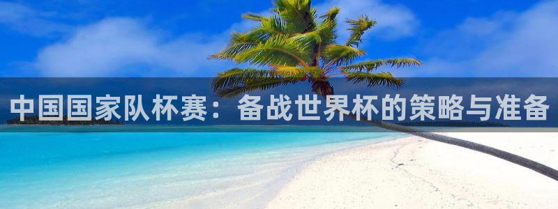 世界杯预选赛赛程时间表：中国国家队杯赛：备战世界杯的策略与准备