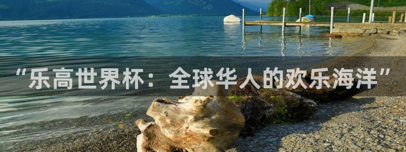 女足世界杯直播：“乐高世界杯：全球华人的欢乐海洋”