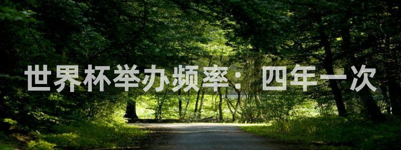 世界杯欧洲区预选赛赛程：世界杯举办频率：四年一次