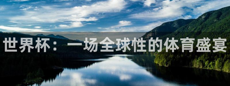 预选赛世界杯：世界杯：一场全球性的体育盛宴