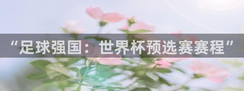 世界杯预选赛赛程表：“足球强国：世界杯预选赛赛程”