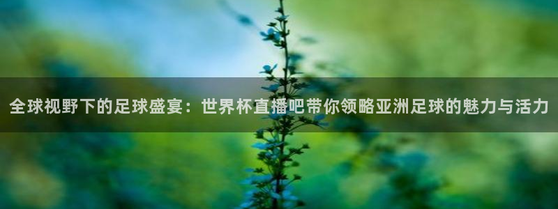 美洲杯直播：全球视野下的足球盛宴：世界杯直播吧带你领略亚洲足球的魅力与活力
