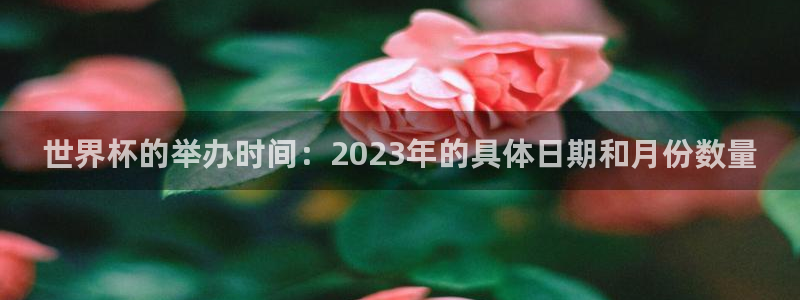 世界杯48支球队赛制：世界杯的举办时间：2023年的具体日期和月份数量