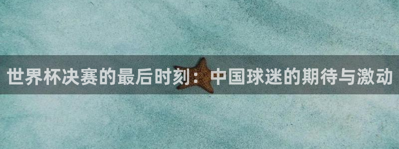 世界杯预选赛欧洲：世界杯决赛的最后时刻：中国球迷的期待与激动
