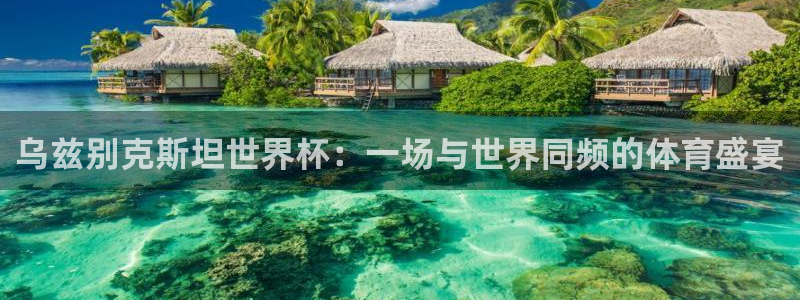 世界杯足球比赛：乌兹别克斯坦世界杯：一场与世界同频的体育盛宴